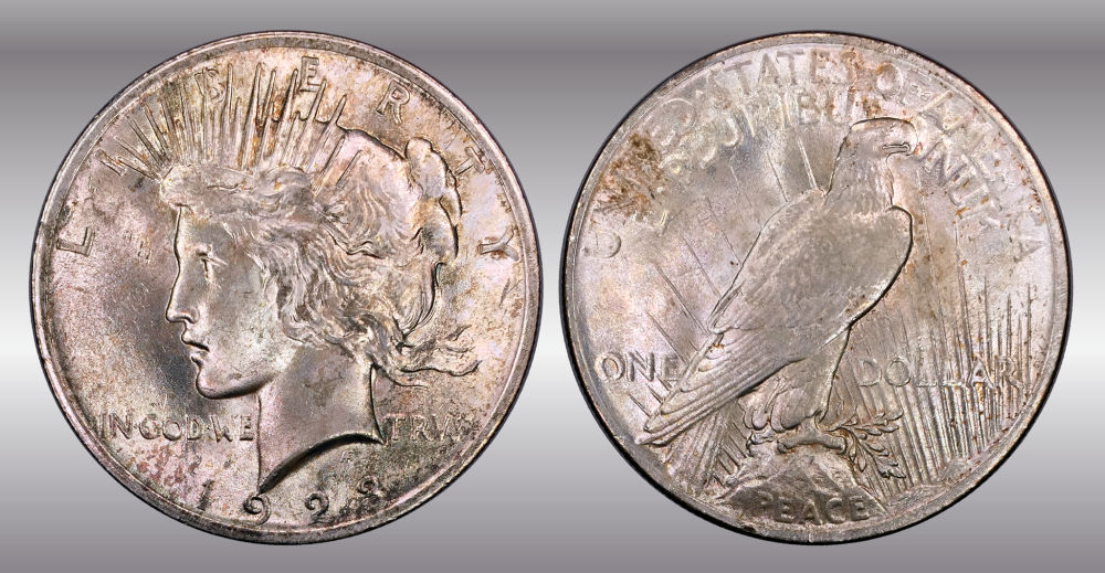 My-Raw-Peace-Dollar-Collection.-.-.-.-Warning!